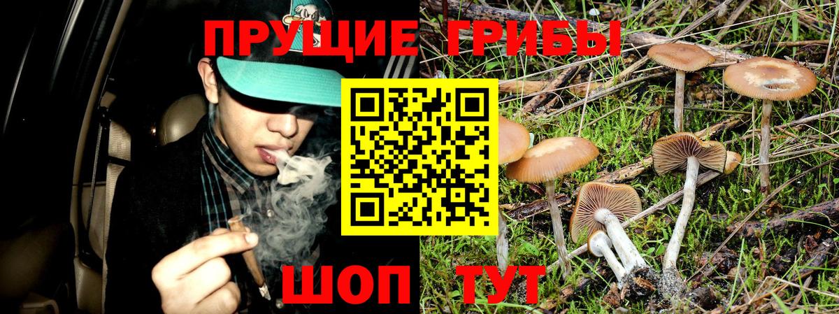 Галлюциногенные грибы ЛСД  Вход с VPN  Галлюциногенные грибы ЛСД  Прокопьевск 